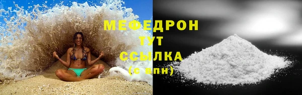 гашик Богданович