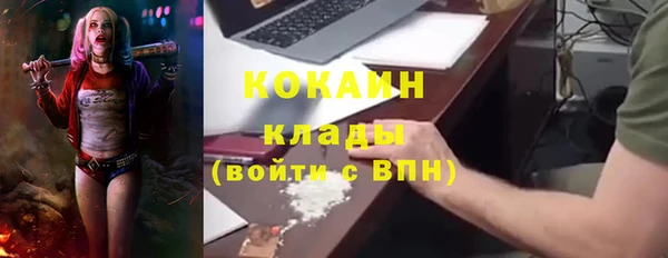 СК Богородск