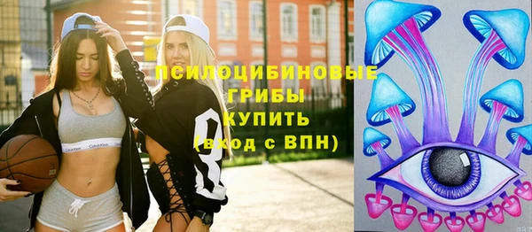 метамфетамин Богородицк