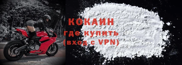 гашик Богданович