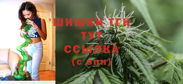 гашик Богданович