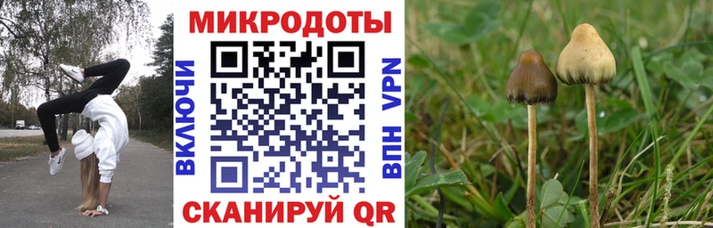 Псилоцибиновые грибы мухоморы  Томск 